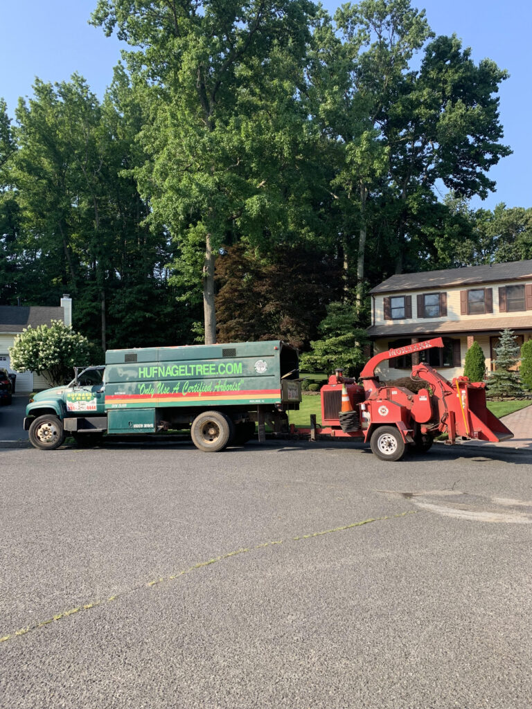 perfect cut tree service ramsey nj