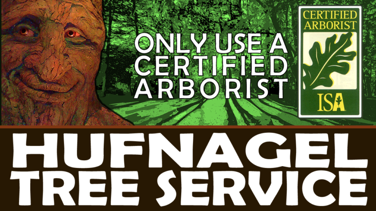 The Best Tree ID and Care Apps (August 2025) - Hufnagel Tree Service