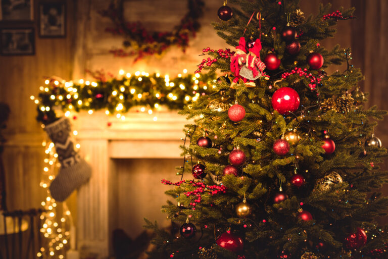 How to Choose the Right Christmas Tree