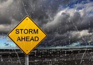 Prepare Your Trees For The Peak of Hurricane Season