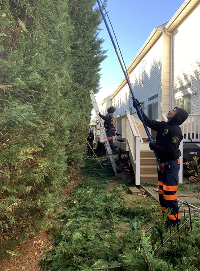 Specialty Tree Trimming in Freehold, Colts Neck & Farmingdale 15 home2