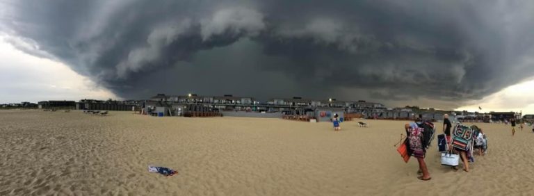 Summer Brings Dangerous Conditions For Trees in Long Branch, NJ