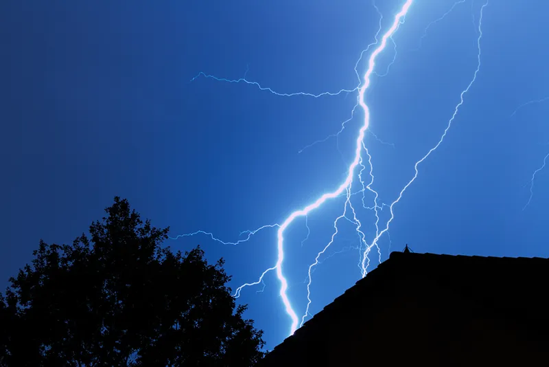 Tree Hit By Lightning