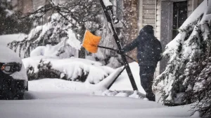Protecting Trees from Snow and Ice in West Long Branch, NJ