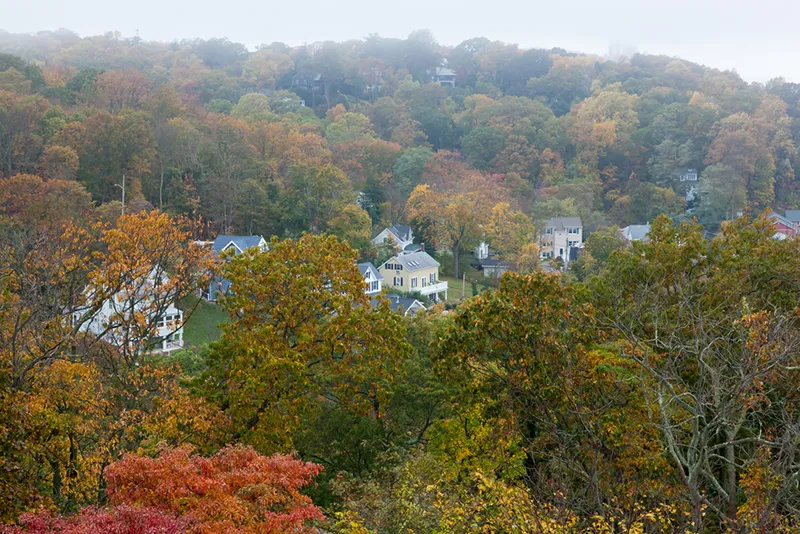 Highlands Trees in New Jersey