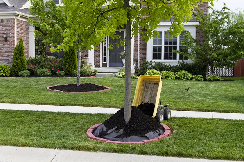 Tree Mulch Middletown, NJ