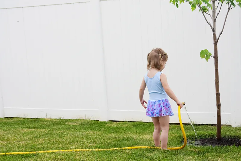 Tree Watering