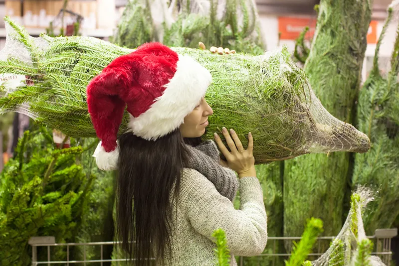 Choosing A Christmas Tree