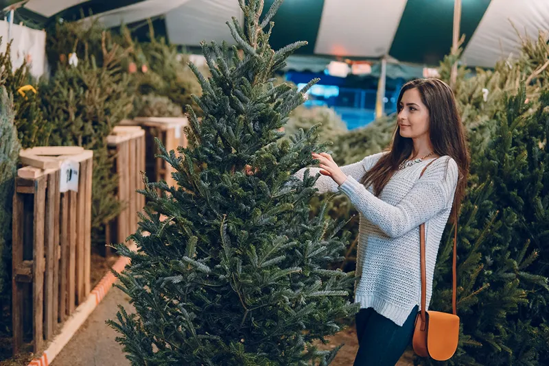 Woman Choosing Christmas Tree