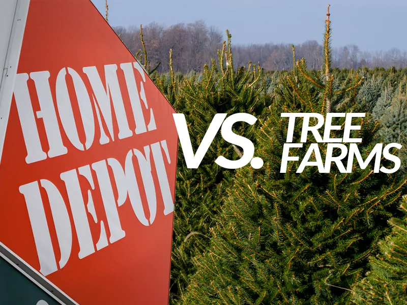 Big Box Store vs Farms