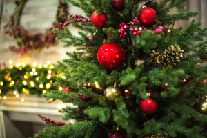 How to Choose the Perfect Christmas Tree