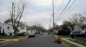 Tree Service in Ocean Township, NJ