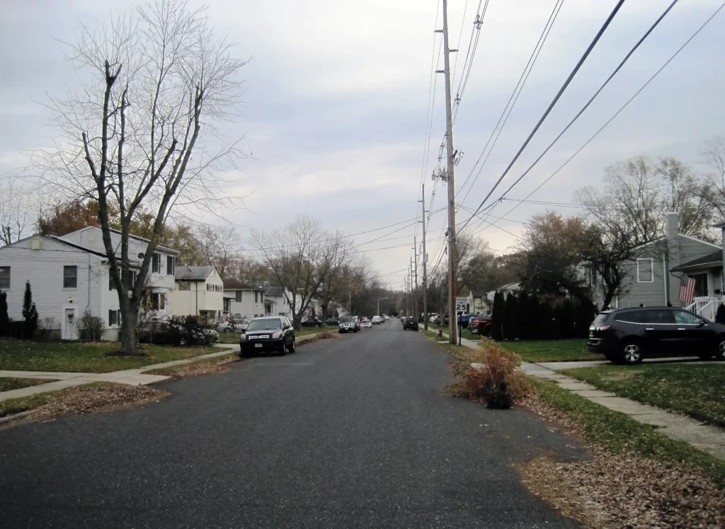 Ocean Township Tree Servicea