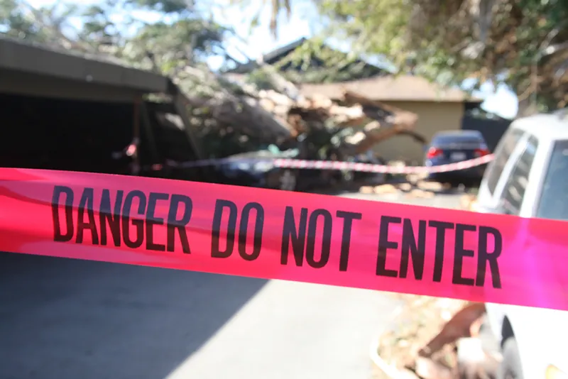 Wind Causes Tree Damage Danger
