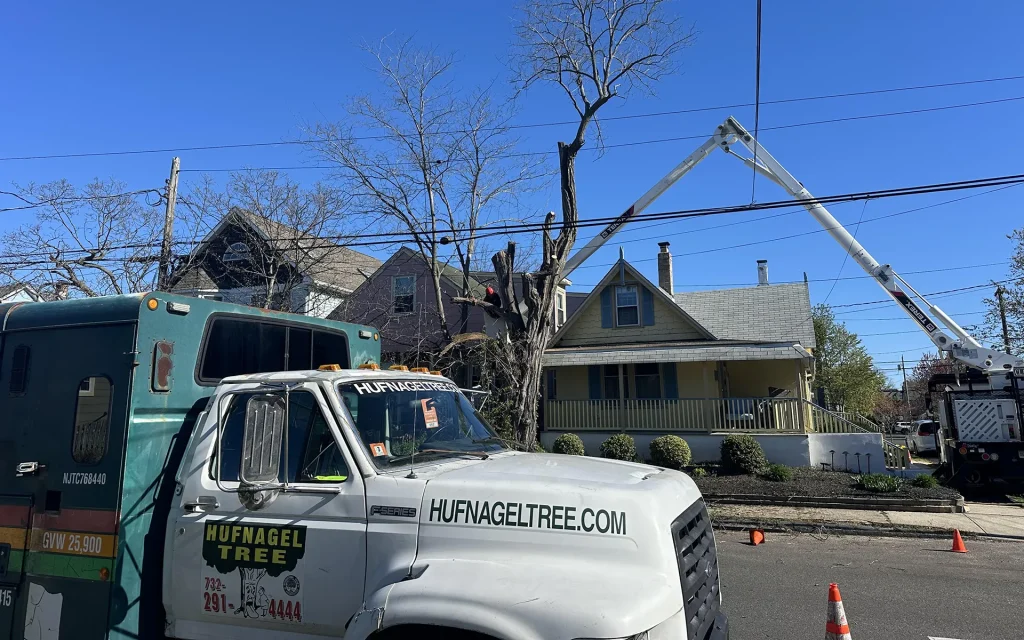 Hufnagel Tree Service | Expert Tree Trimming & Pruning in Middletown NJ 17 #1 Rated Tree Service in Middletown: Your Hometown Experts