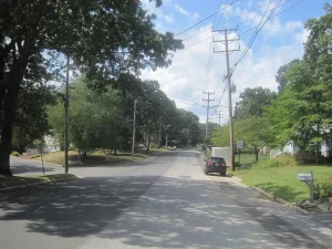 Shark River Hills Tree Preservation