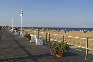 Avon-by-the-Sea Seasonal Tree Service
