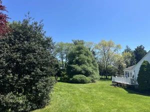 Expert Tree Care Services in Spring Lake, NJ