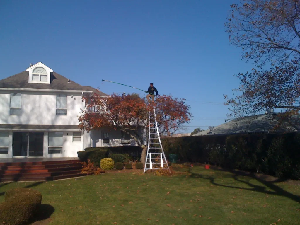 Premium Tree Service & Arborist Care: Colts Neck, NJ 5 hufnagel 202