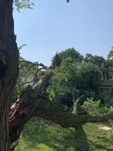 Storm Causes Major Disruptions in Middletown, NJ (June 2024)