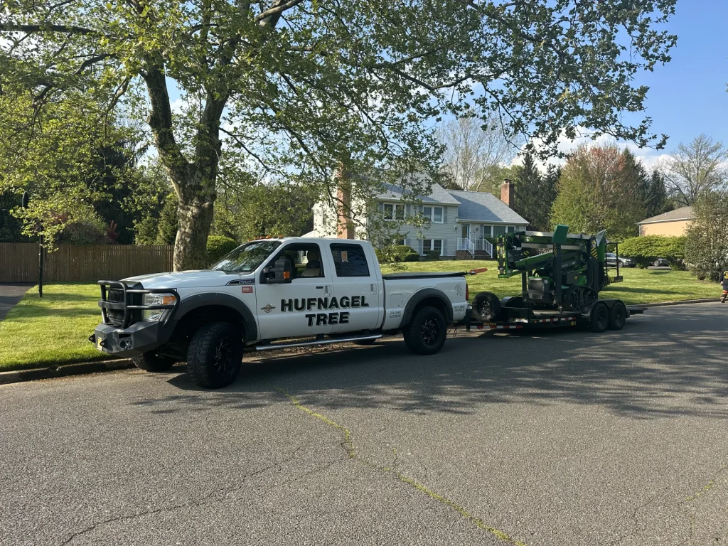 Precision Tree Care In Middletown: An Interview With Certified Arborist Michael Hufnagel