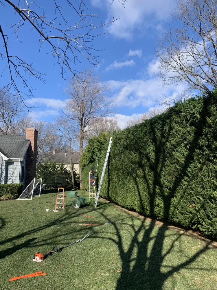 Tree Care and Pruning Services in Little Silver NJ 5 medium hufnagel 154