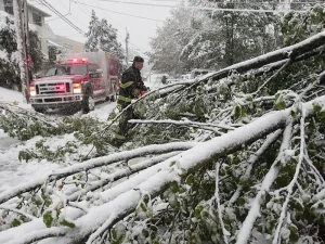 Environmental Spotlight: How Trees Shape Middletown Township 16 medium-hufnagel-32
