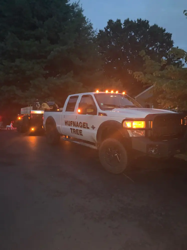Raritan Bayshore Storm Preparedness: Tree Service for Coastal Communities 8 medium hufnagel 74