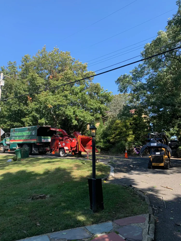 Precision Tree Trimming & Pruning in Atlantic Highlands, NJ 1 medium hufnagel 82