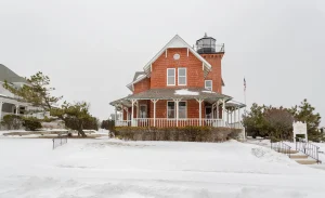 Professional Tree Service Sea Girt Can Trust