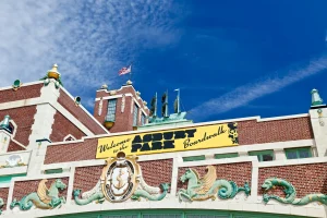 Tree Service Experts in Asbury Park, NJ
