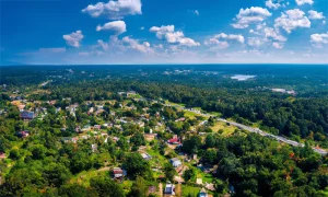 Spring Tree Pruning in Oakhurst, NJ – Your Local Tree Doctors