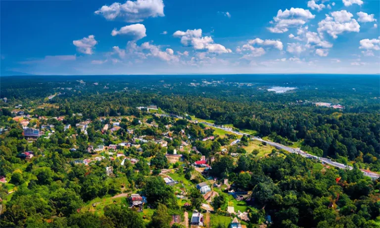 Spring Tree Pruning in Oakhurst, NJ – Your Local Tree Doctors