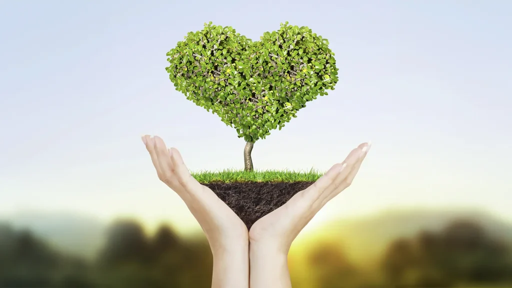 Tree Rejuvenation and Health Care in Middletown NJ