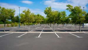 Tree Service For Commercial Properties in NJ
