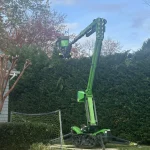 Expert Tree Pruning & Tree Care in Old Bridge, Sayreville, and South Amboy 10 We Do It All!