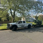 Expert Tree Pruning & Tree Care in Old Bridge, Sayreville, and South Amboy 12 Ready To Go!
