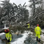 Expert Tree Pruning & Tree Care in Old Bridge, Sayreville, and South Amboy 9 Emergency Service In Times of Crisis