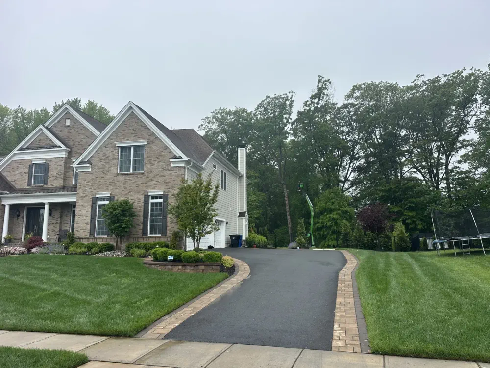 Tree Service Middletown NJ