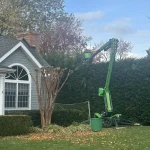 Expert Tree Pruning & Tree Care in Old Bridge, Sayreville, and South Amboy 8 Decisive Cuts