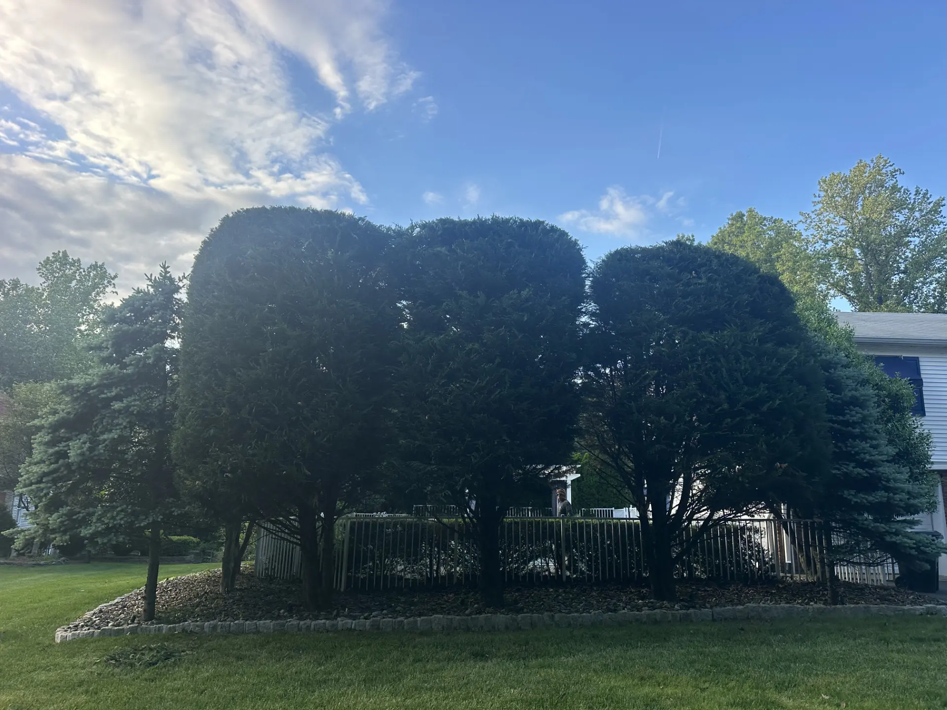 Hedges After Hufnagel