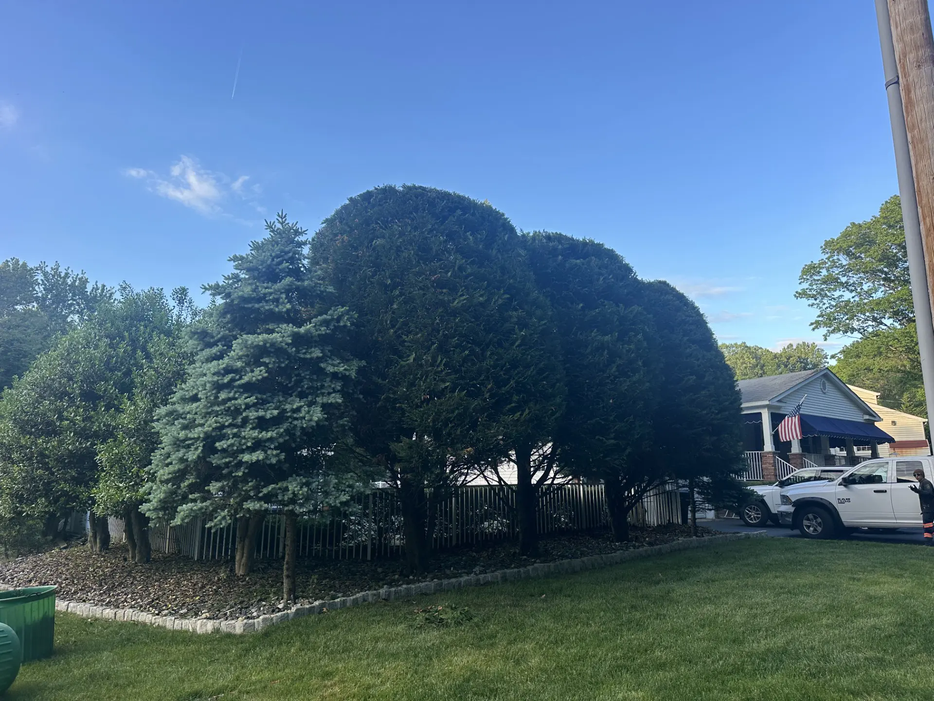 after2 hedges