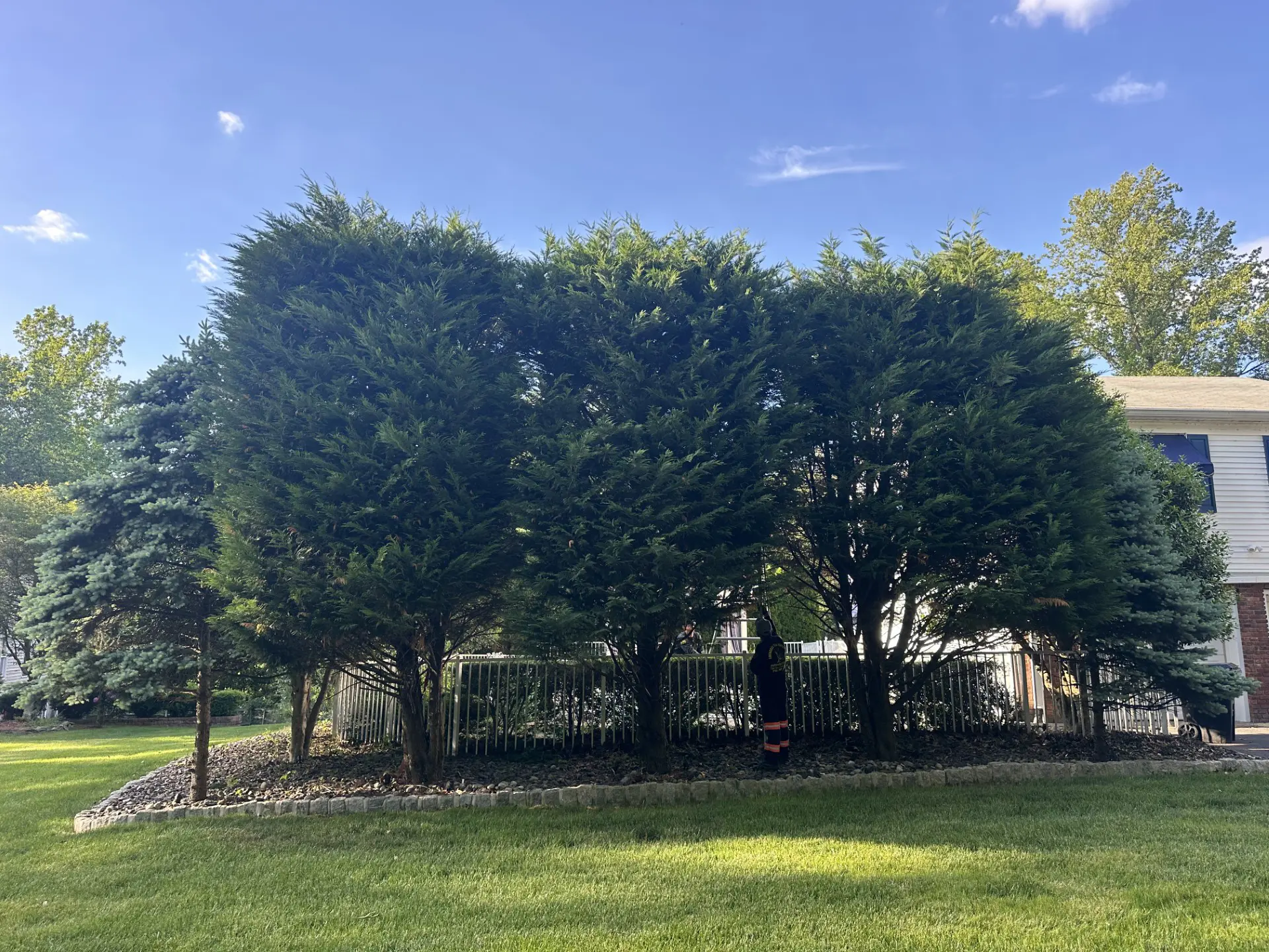 Hedges Before Hufnagel