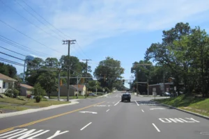Tree Service in Hazlet, Union Beach & Keyport: Certification Matters