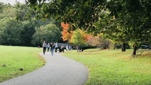 Premium Tree Service & Arborist Care: Colts Neck, NJ 14 Expert Tree Care & Certified Arborists in Holmdel, NJ