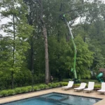 Expert Tree Pruning & Tree Care in Old Bridge, Sayreville, and South Amboy 7 You Can Trust Us On Your Property