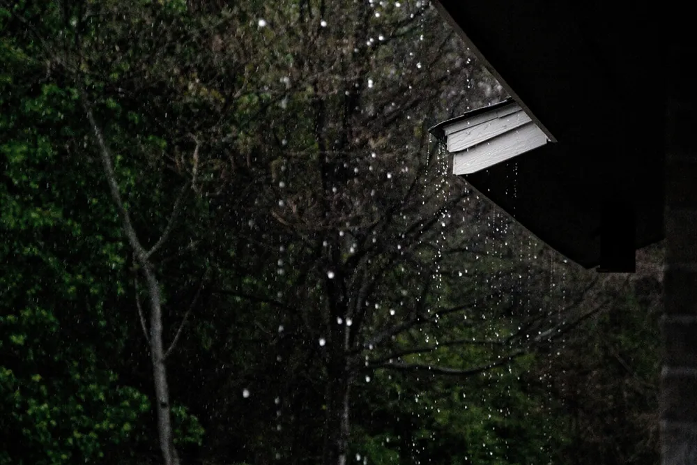 Eatontown Tree Storm Proofing and Emergency Service
