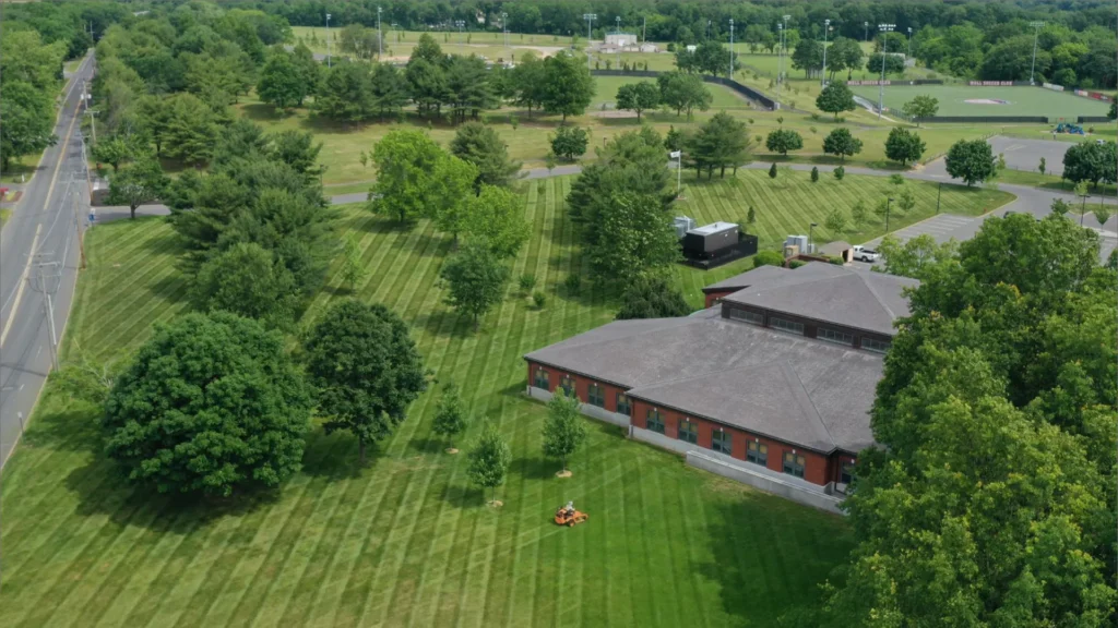 Wall Township Tree Service NJ