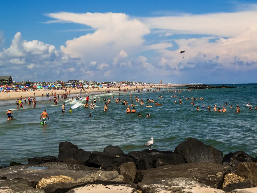 Tree Service in Belmar, Lake Como, and Avon-by-the-Sea: Trimming, Storm-Proofing, and Certified Arborist Care 1 belmar certified arborist tree care hedge trimming