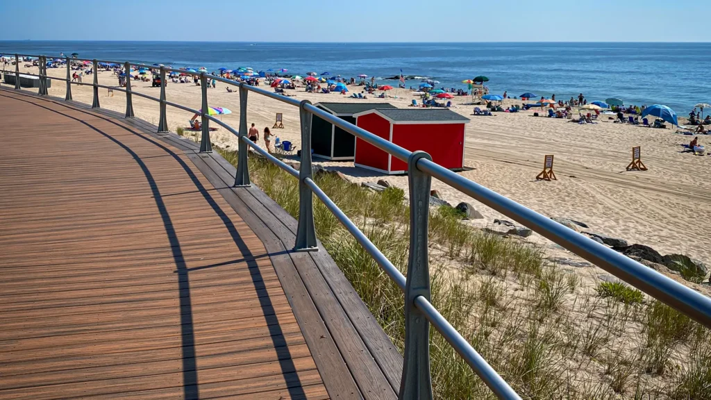Long Branch NJ Tree Service